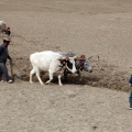 Tibet 2016