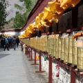 Tibet 2016