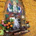 Tibet 2016