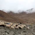 Tibet 2016