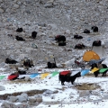 Tibet 2016
