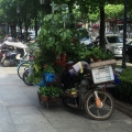 Shanghai