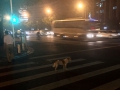 Beijing August 2015