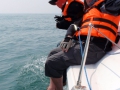 CCOR Qingdao 2015