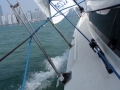 CCOR Qingdao 2015