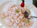Shrimp