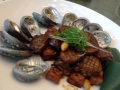 Muscheln