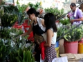 HongKong - Flower Market