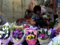 HongKong - Flower Market