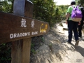 Dragon's Back