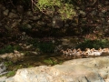 20151212_ninghai-trail-hotspring