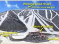 Wanlong_Ski[1]
